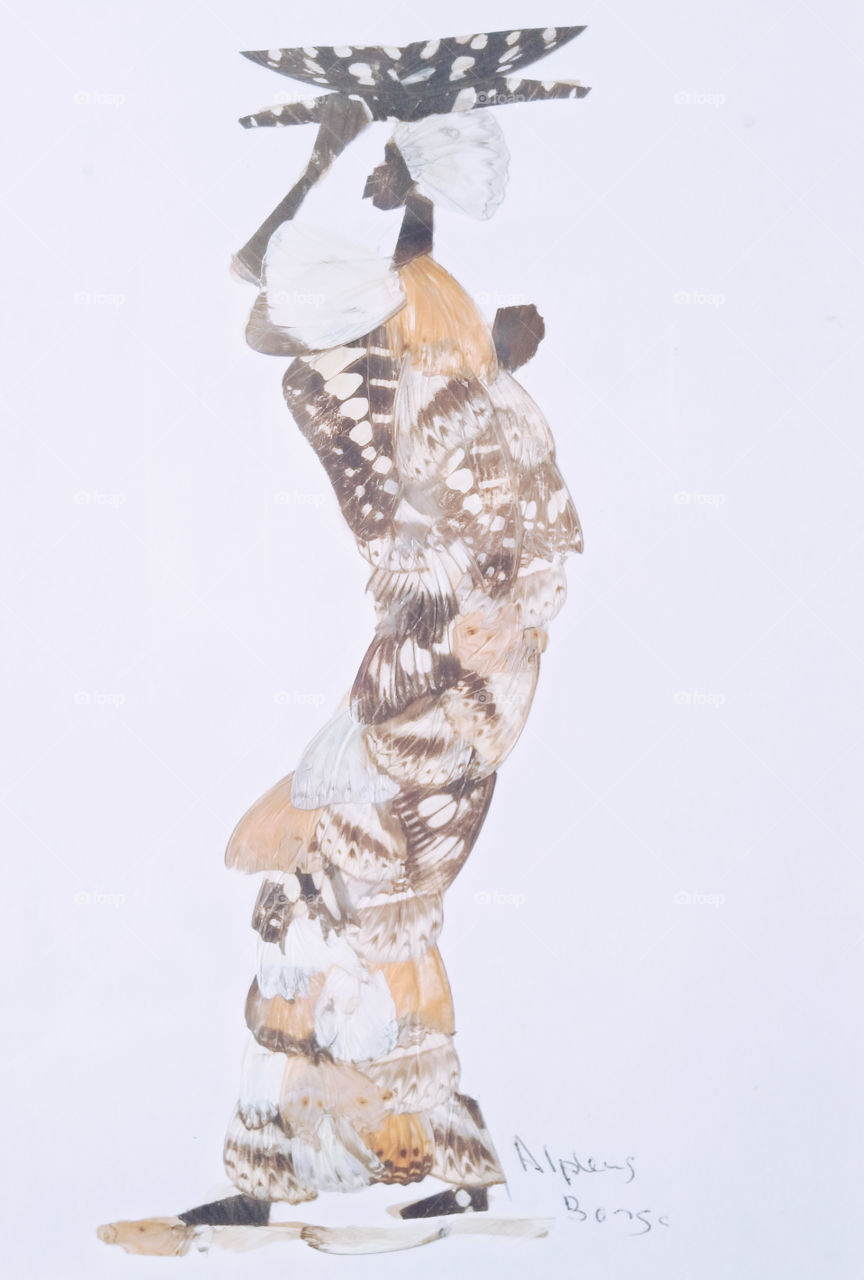 Authentic South African artwork made entirely of butterfly wings. In life and death, these creatures are beautiful beyond explanation.