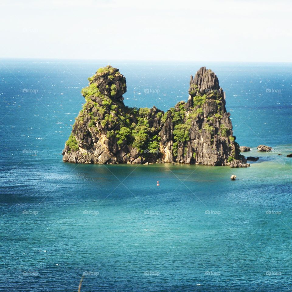 New Caledonia kitchen hen