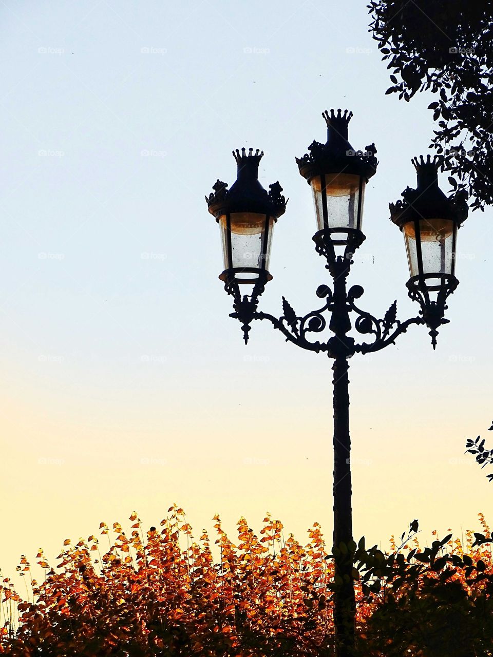 Shadows and silhouettes