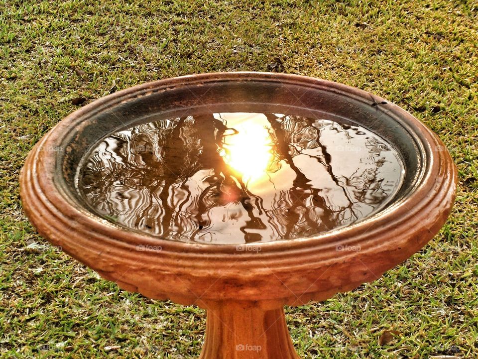 bird bath reflection. sunset reflection in water bird bath
