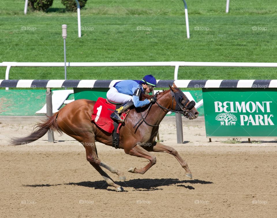 Horse Racing Photos by Fleetphoto