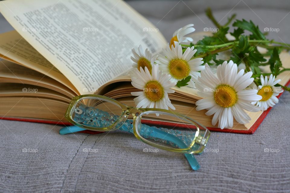 Book, Paper, Flower, Page, Education