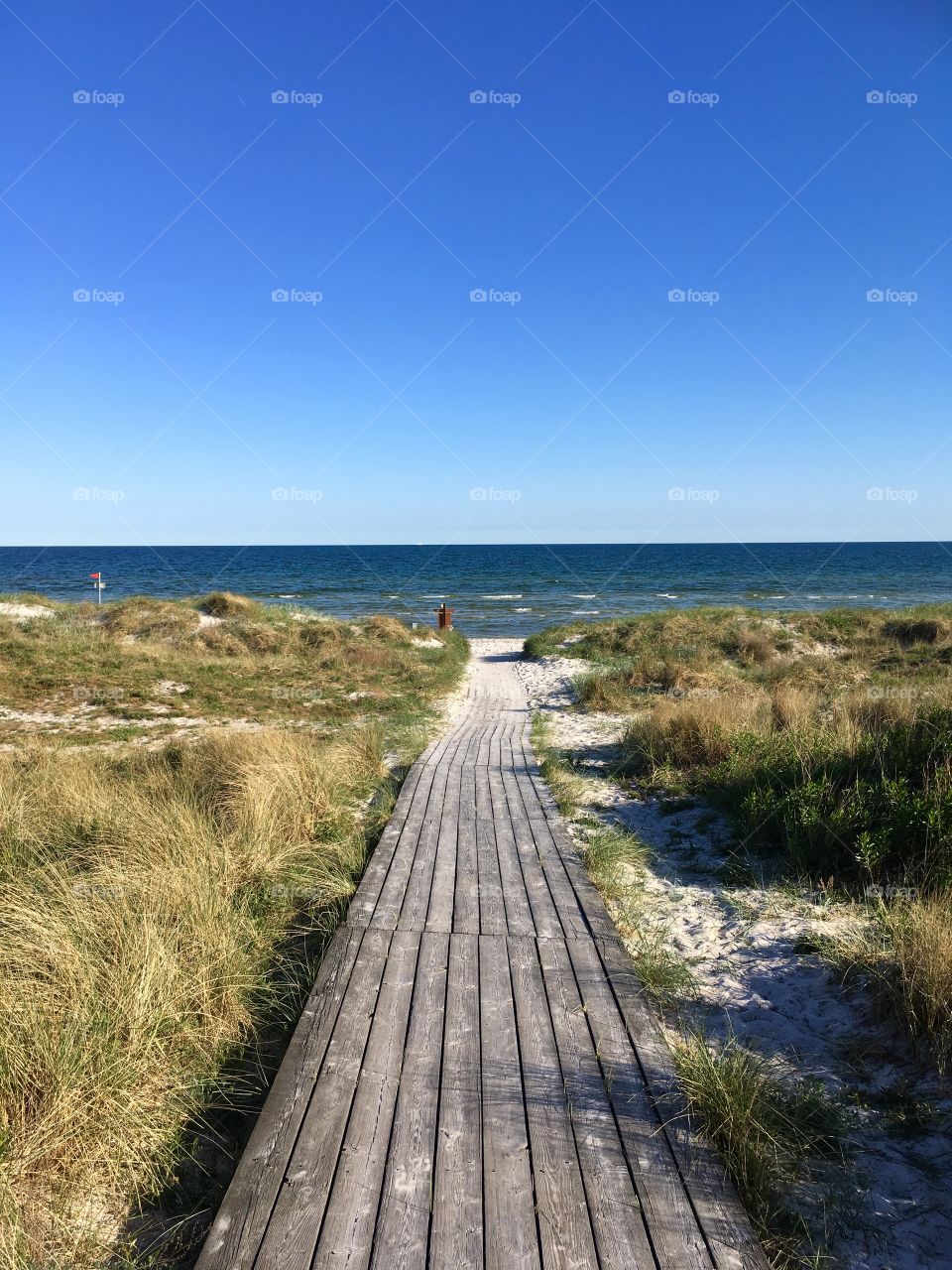 At the beach, Falsterbo, Sweden