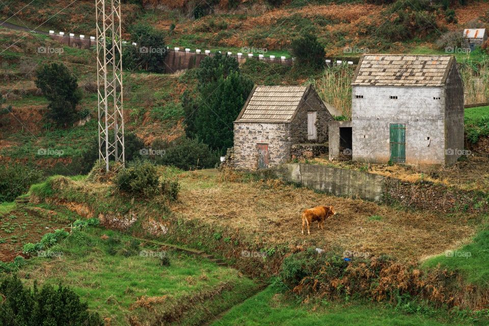 Madeira landscape and architecture, countryside 