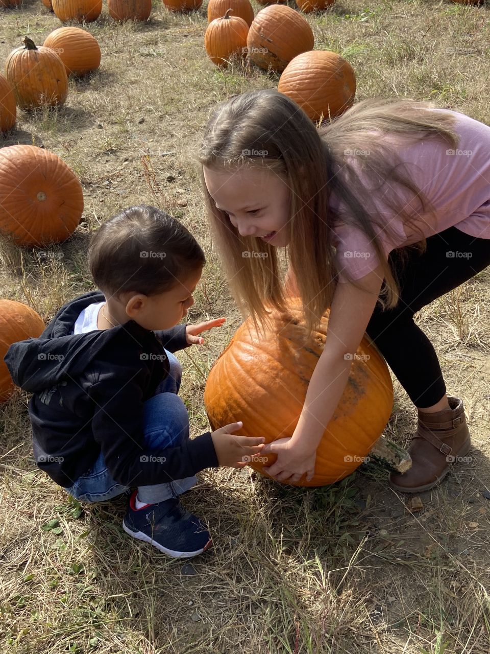 Pumpkin patch