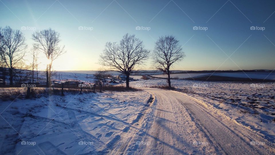 winter evening landscape