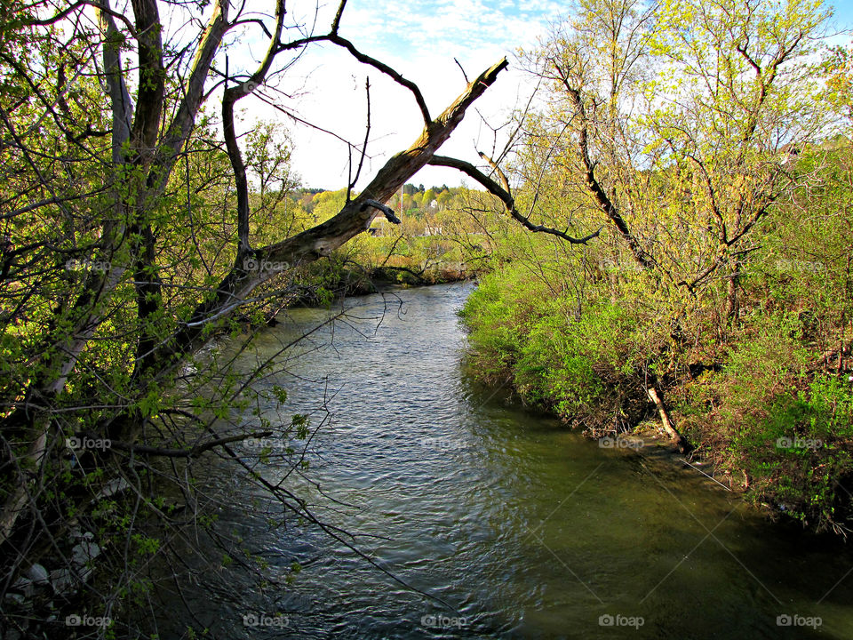 Peaceful River