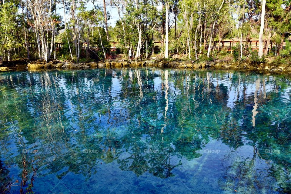 Reflections of Blues and Greens