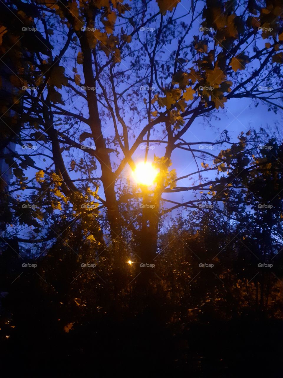 Lichtspiel am Morgen
