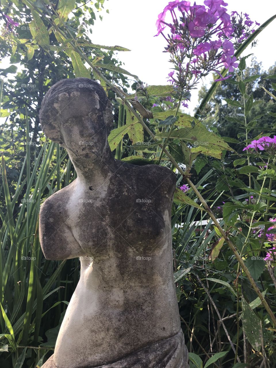 Statue in the garden