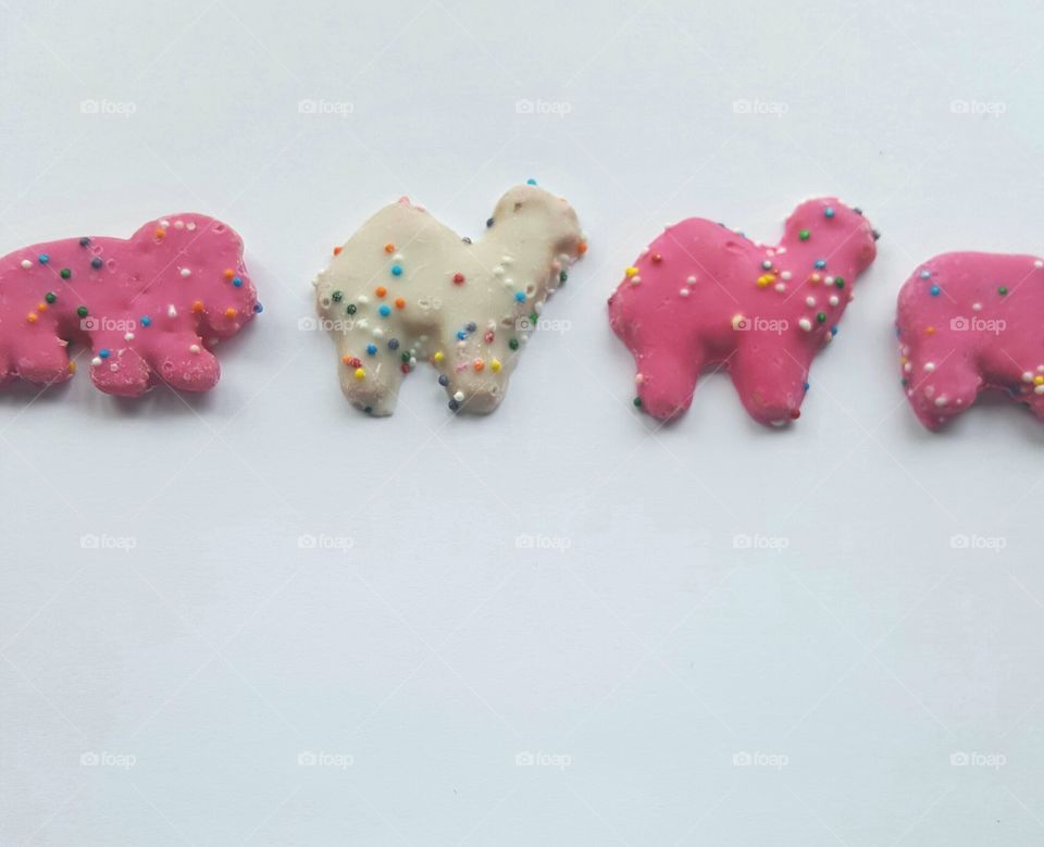 Animal cookies all lined up