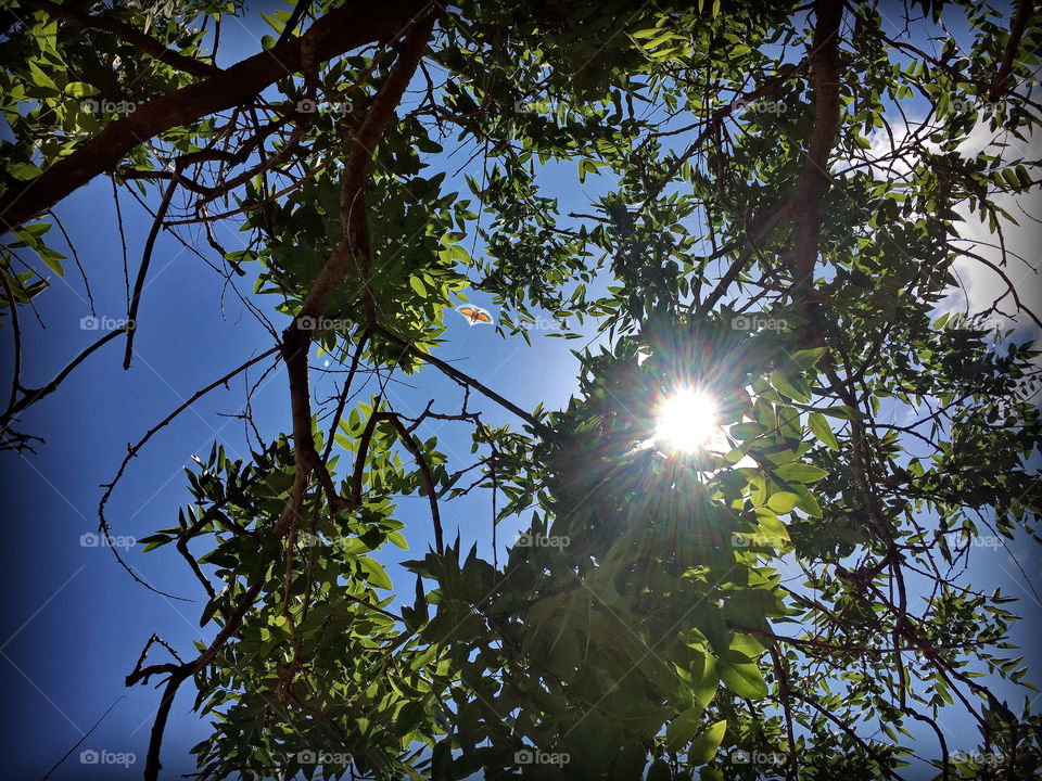 It seems to be weird enough, but there is a kite on the picture 🔎