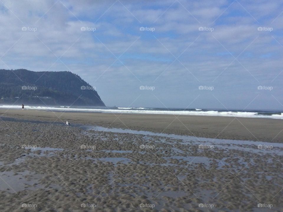 Inlet at the Beach of Seaside 