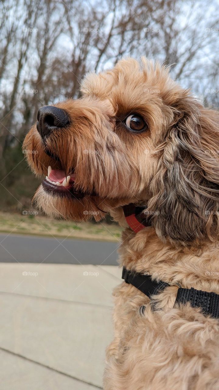 surprise! turn around face