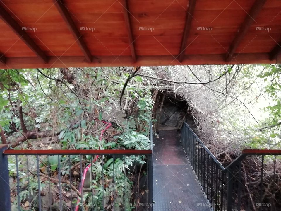 In to the Unknown 😱