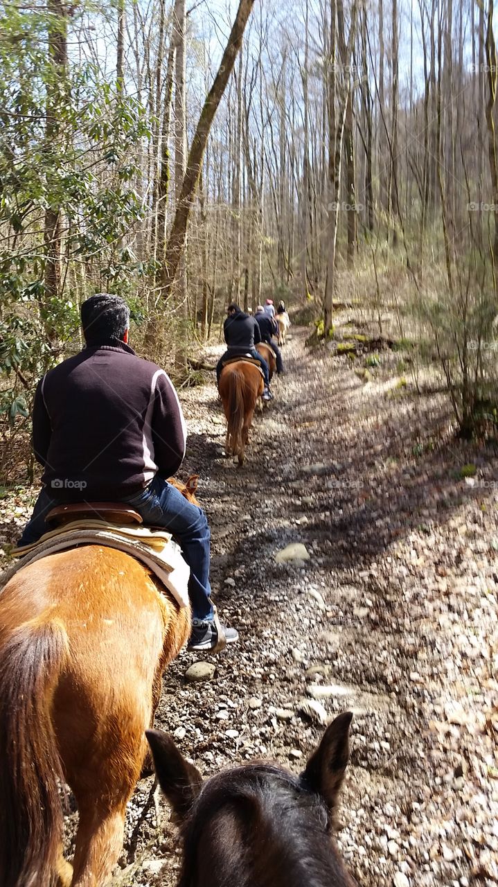 Horse back riding. Mountains and Horses
