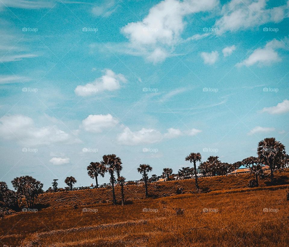 Feel the breeze in the open field 💨