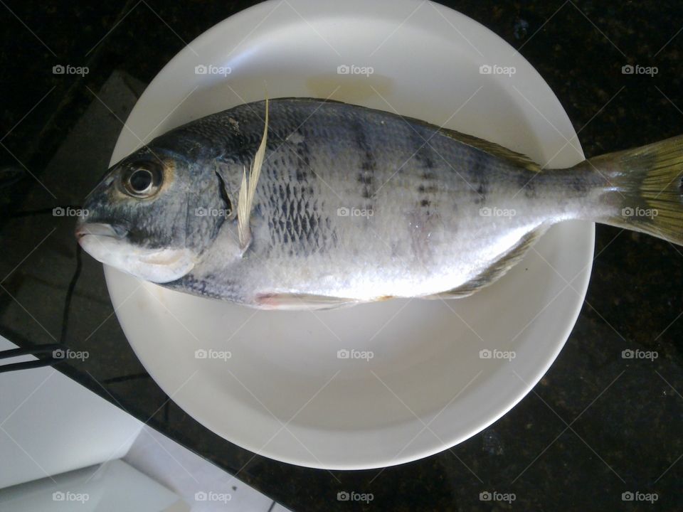 Fish on a plate. Kalk Bay Harbor
