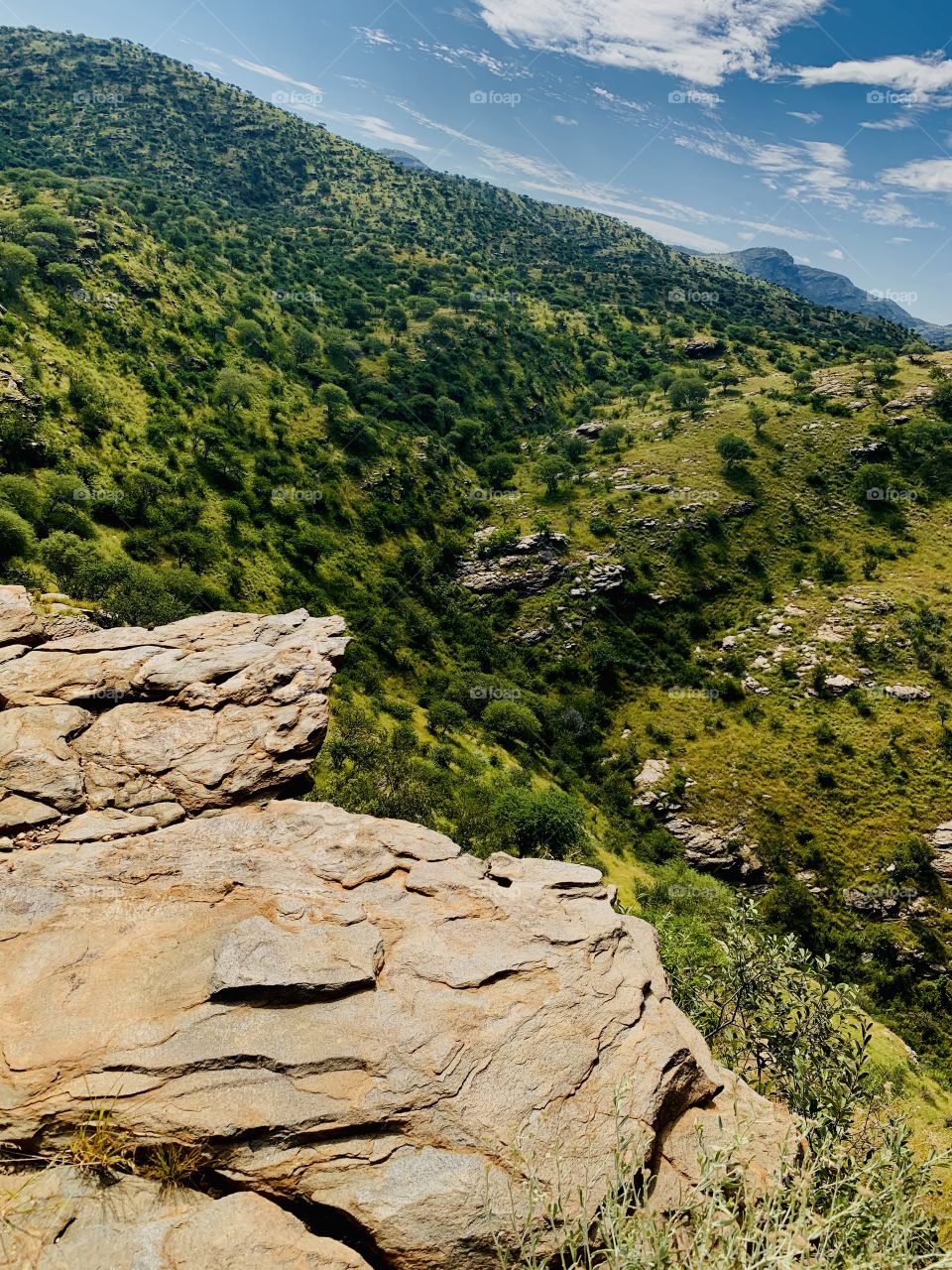 A deep valley in Rocky Mountains, with green grass, shrubs and a Mountain View’s. 