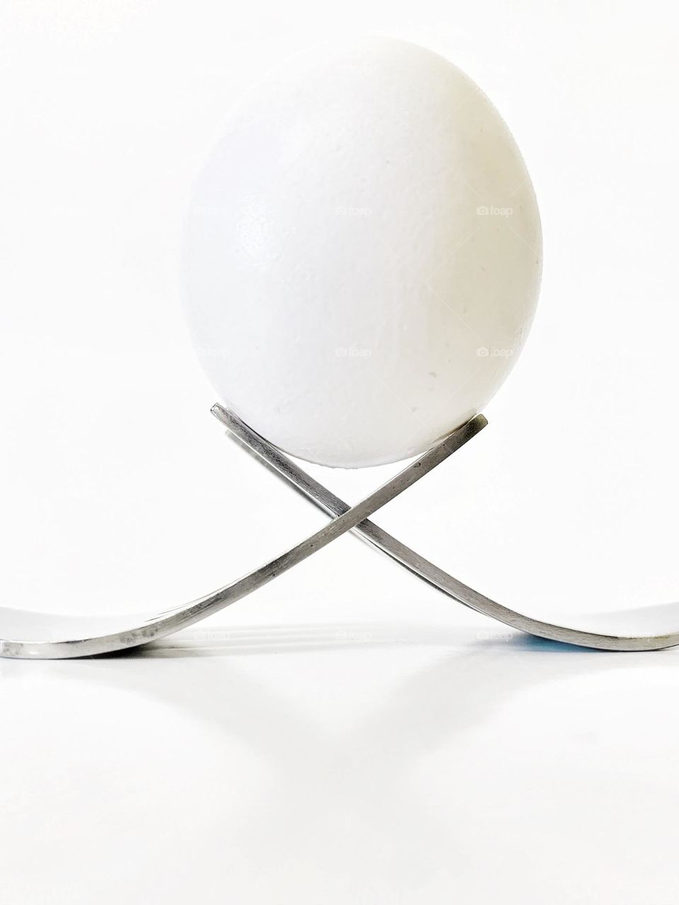 EGG