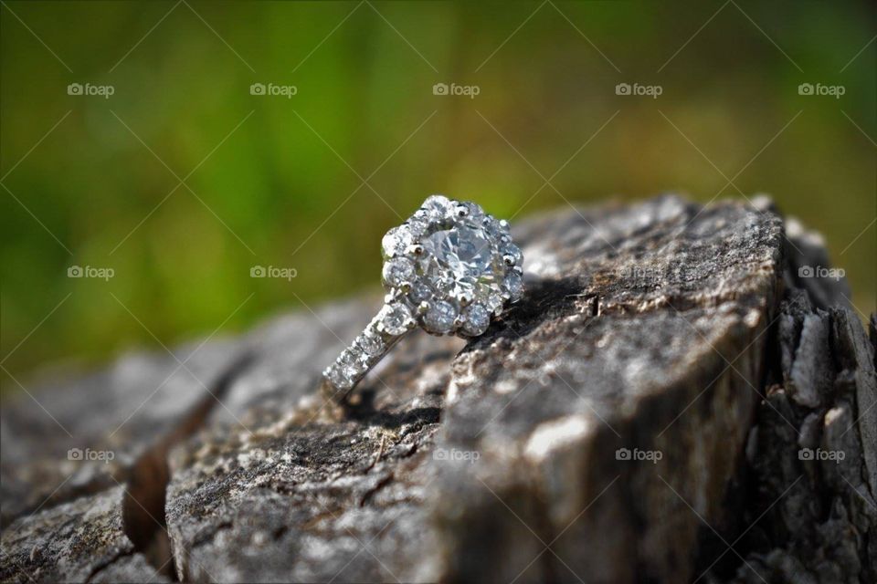 Ring on stump 