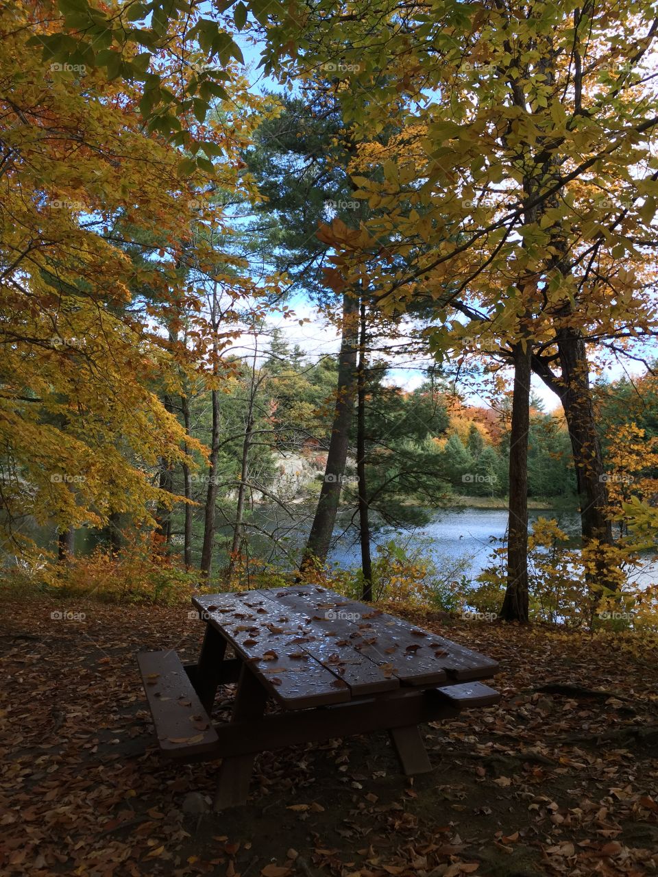 Gatineau Park bench fall lake