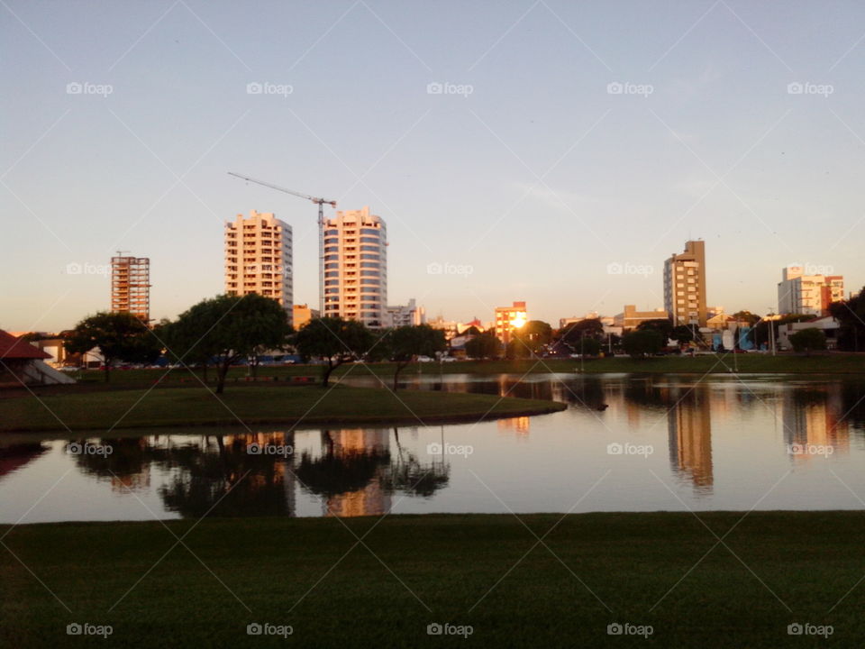 Reflection of trees and building on lake