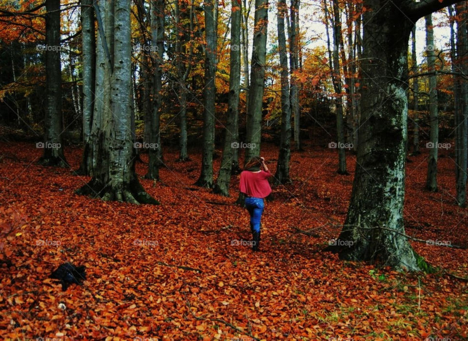 girl trees leaves forrest by merethe
