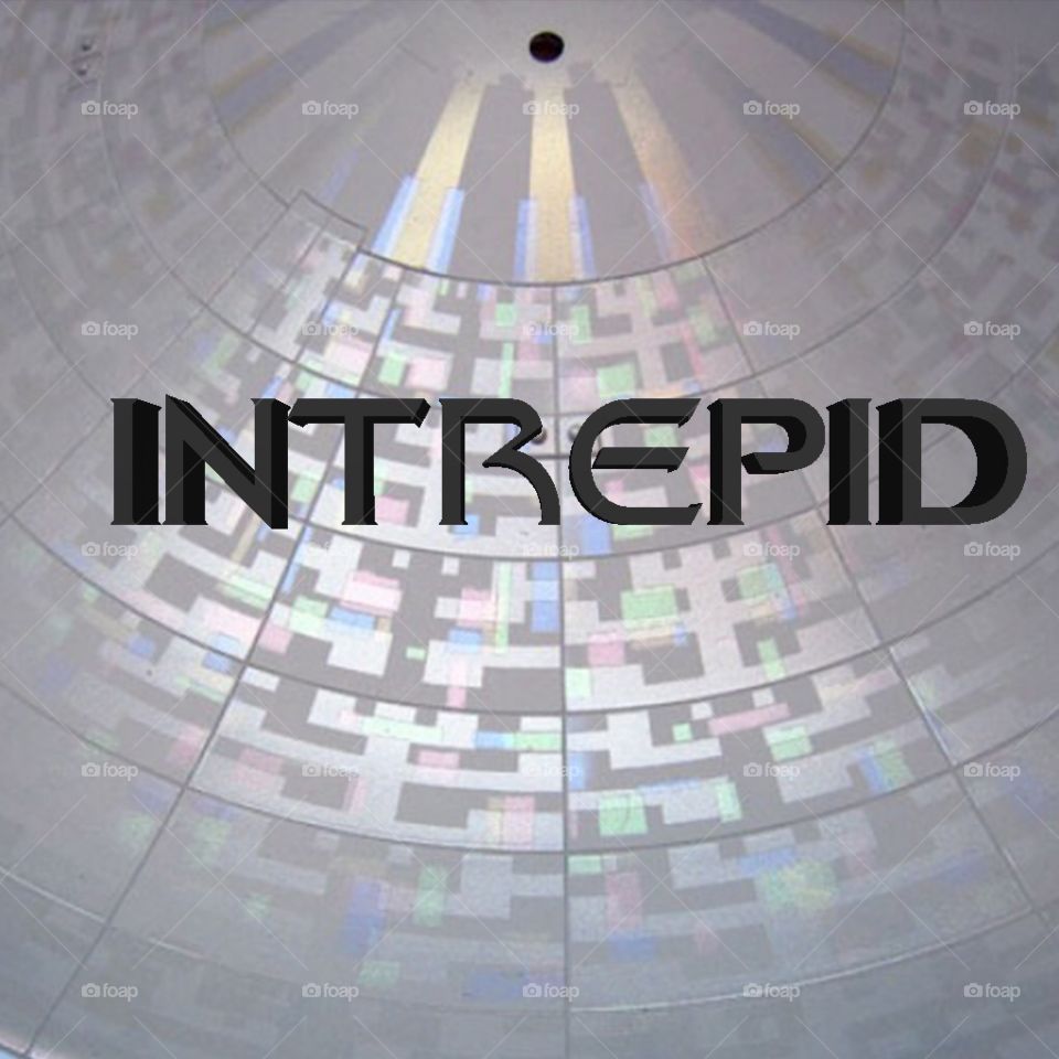 Intrepid742656 Store logo