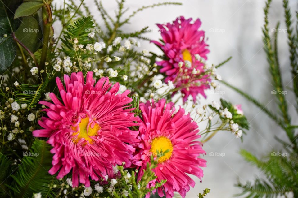 10. colorful flowers that inspire joy