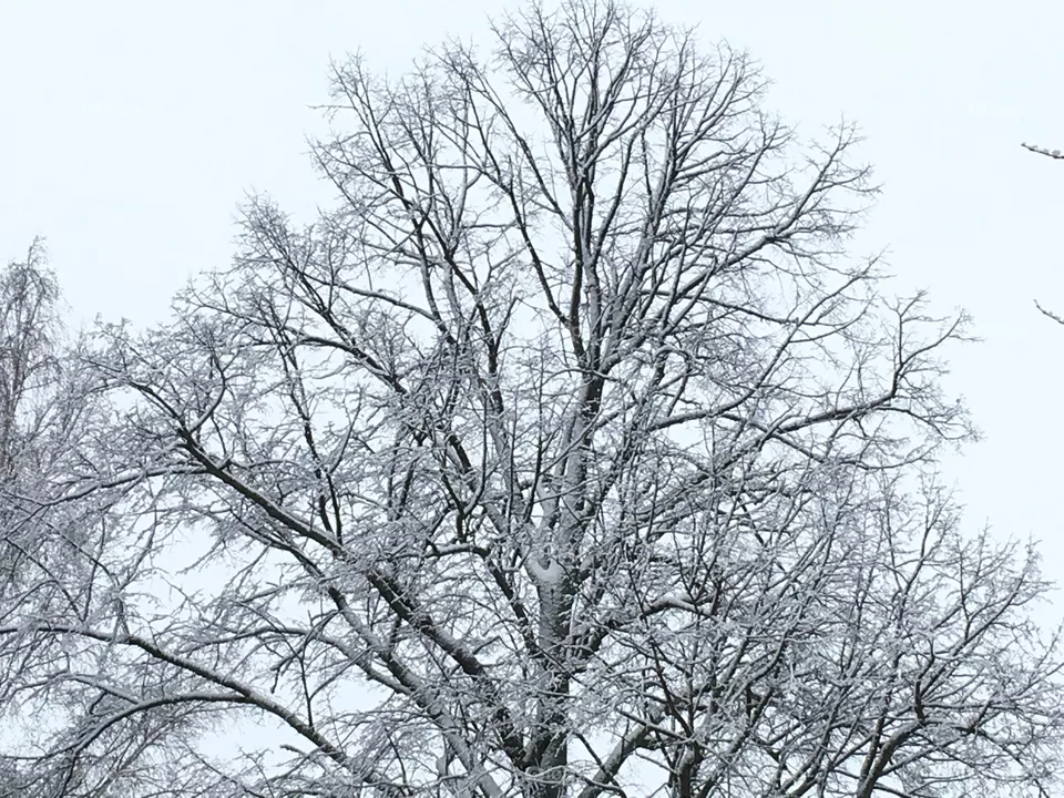 Winter 