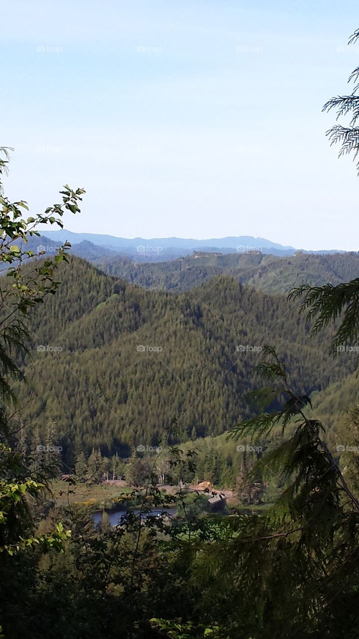 Oregon Coastal mountains