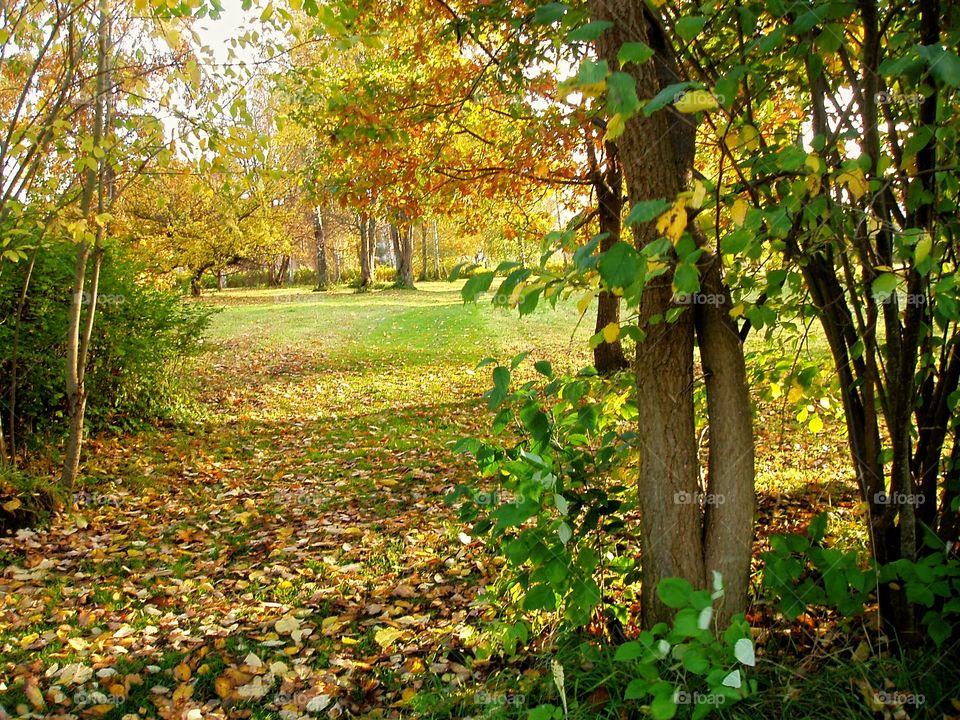 Lovely autumn view