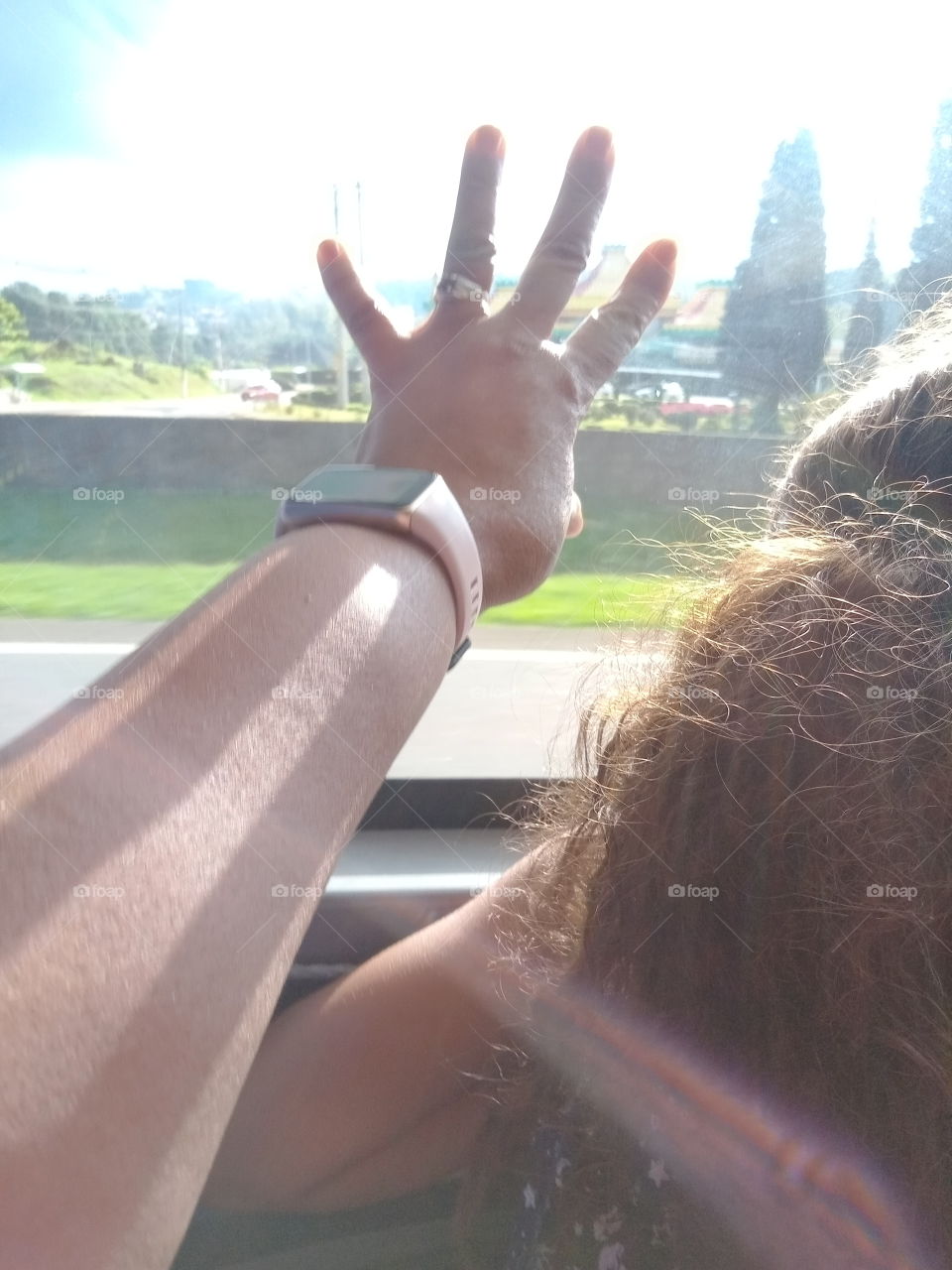 Editors'Choice Photo of the week contemplando e mostrando a beleza da  Natureza  e, seus encantos ao longo do  percurso do nosso passeio