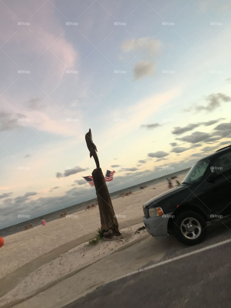 Dolphin carved on a tree!