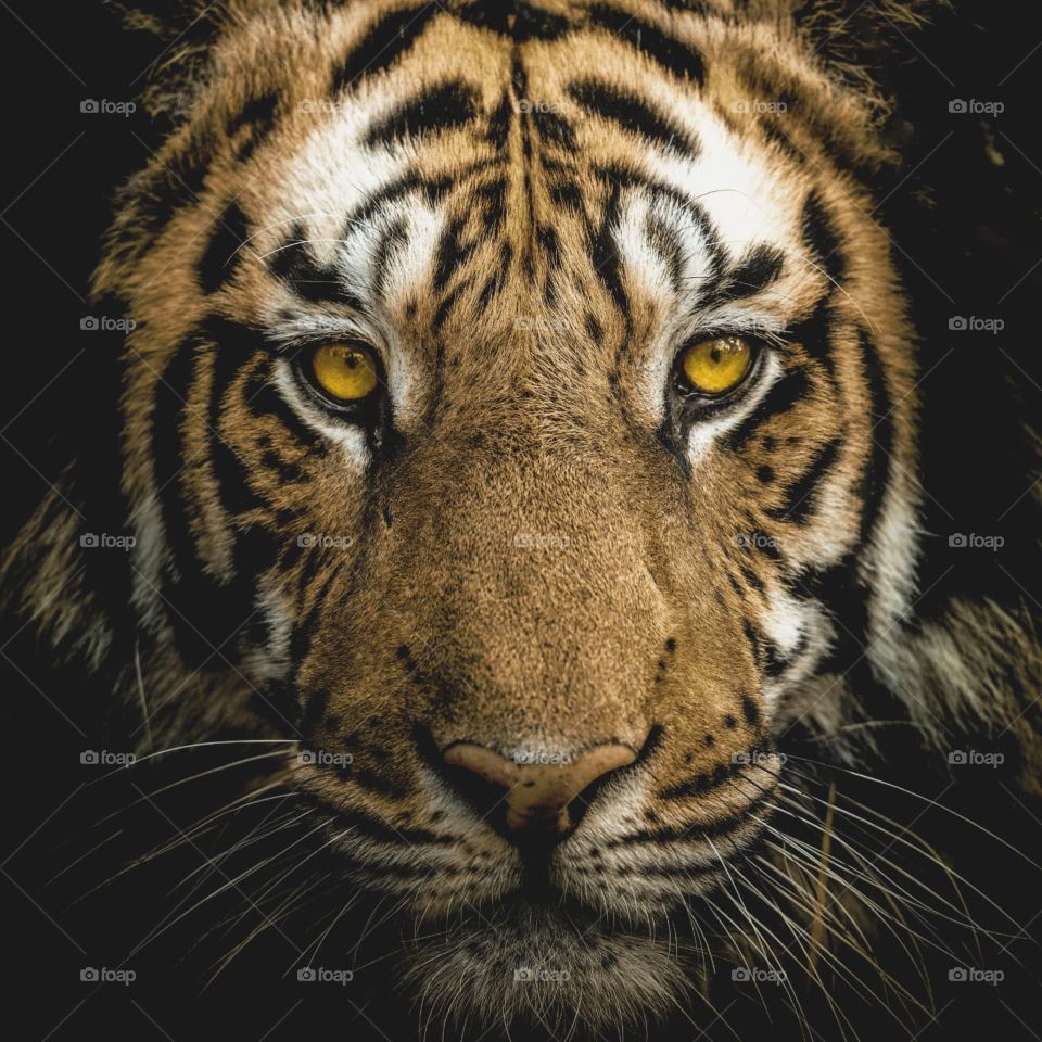 The HANDSOME! ❤️