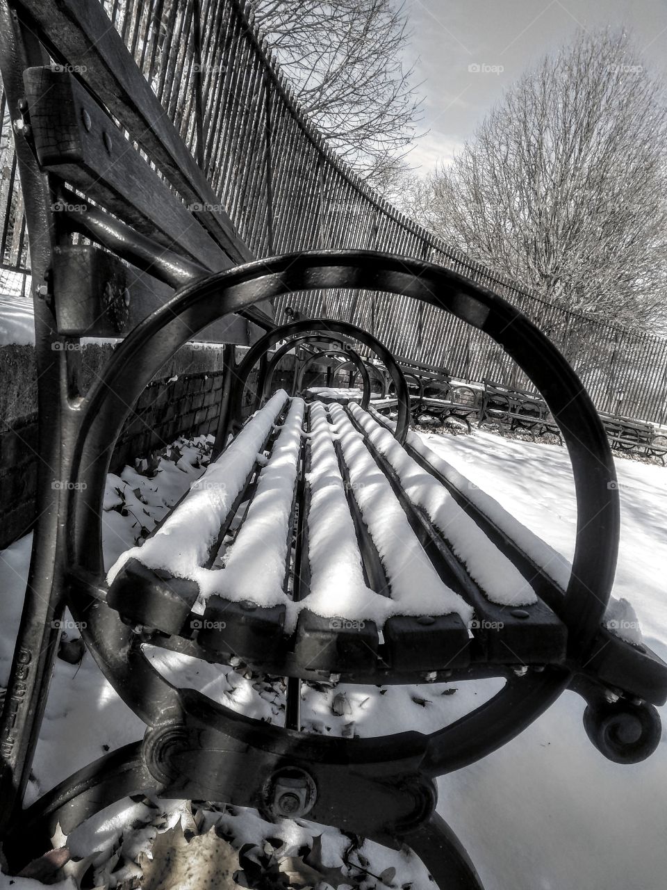 Park bench on snowy day
