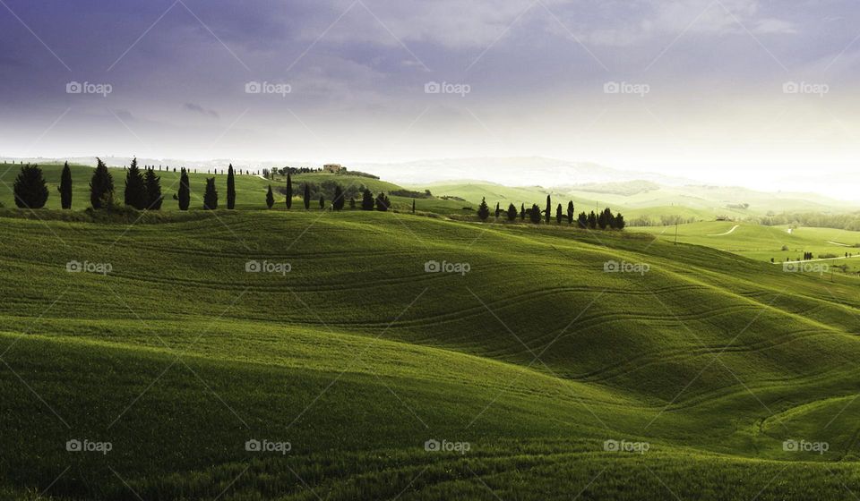 Montepulciano,Italy, pictures