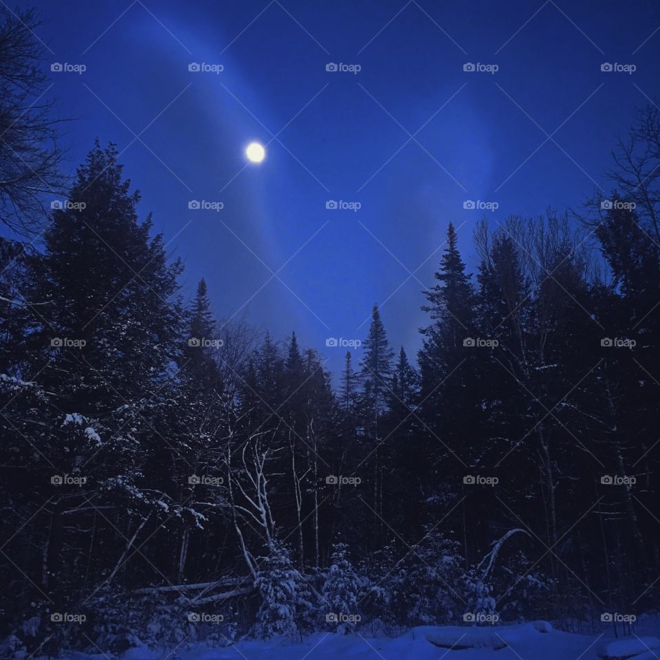 Moonlight in winter