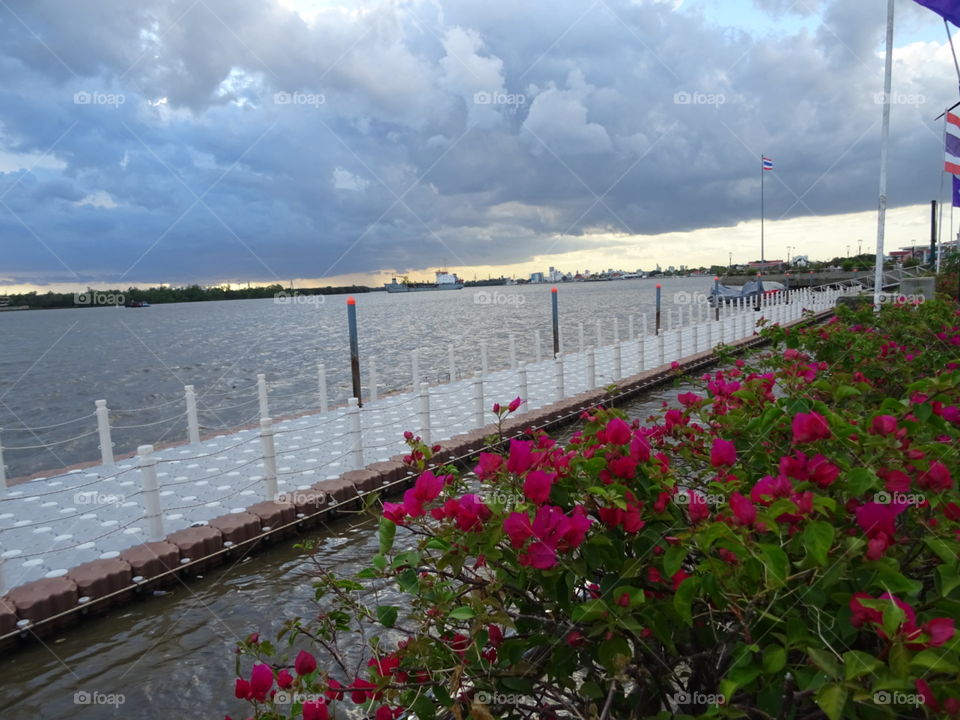 Riverside view. chaopraya river