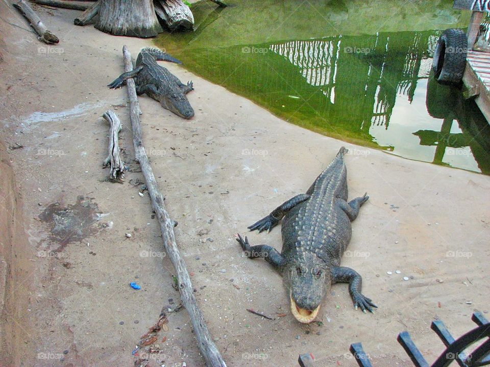 Stay Out. Some of the best sites in Louisiana