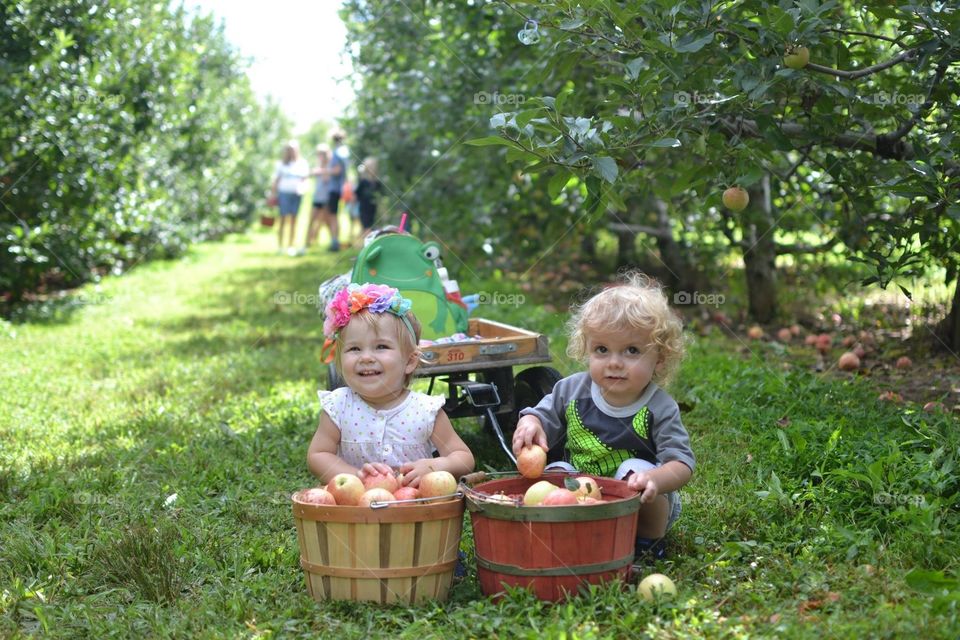 Apple picking fun 