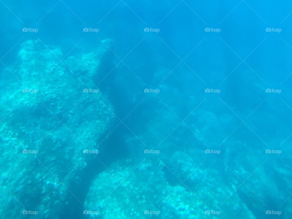 The desolate unknowns of the deep, captured here just off the coast of the Mediterranean island of Menorca.