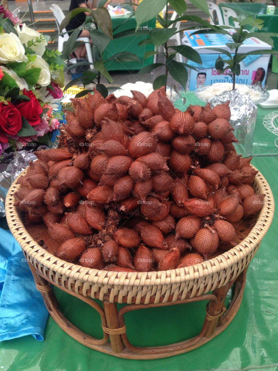 Snake fruit