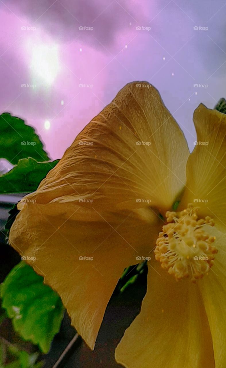 under the cloudy sky