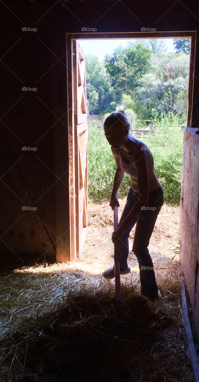 Barn Chores