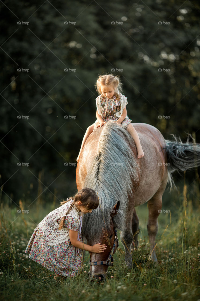 Little sisters with horse at summer evening 