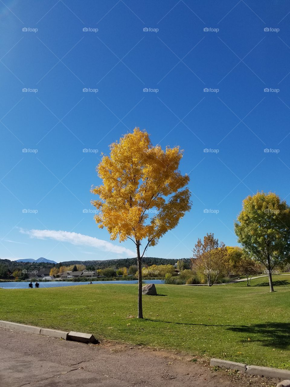 Fall leaves in Payson