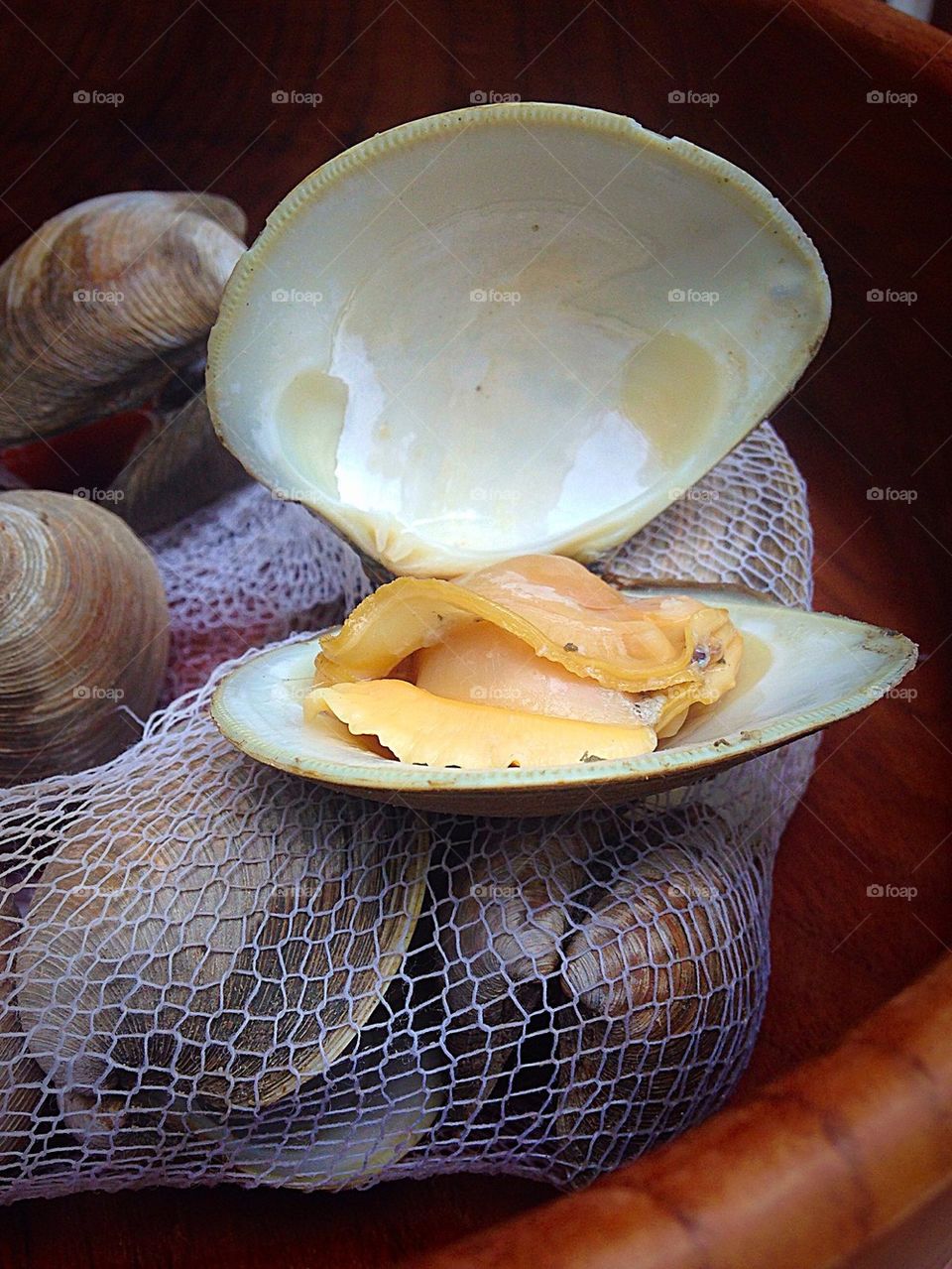Open clam