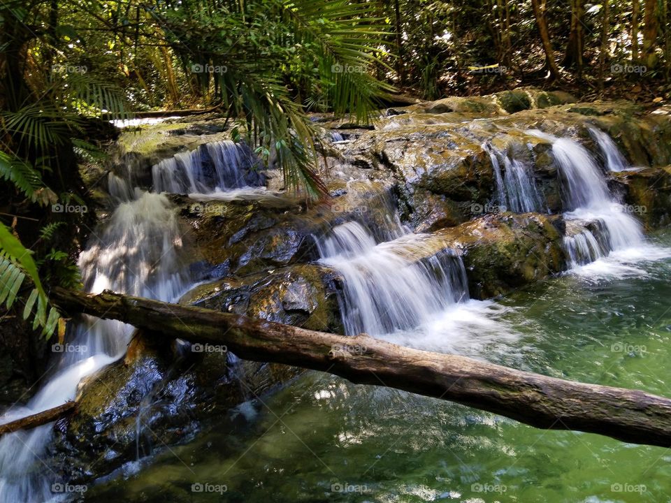 Stream in the forest.